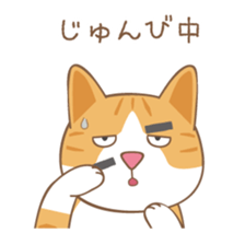 American Shorthair & Red-tabby White Cat sticker #6909334
