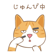 American Shorthair & Red-tabby White Cat sticker #6909334