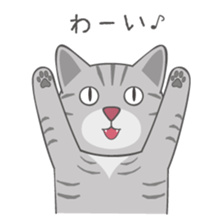 American Shorthair & Red-tabby White Cat sticker #6909336