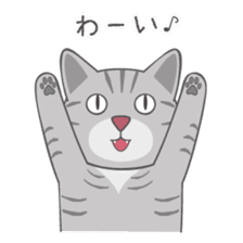 American Shorthair & Red-tabby White Cat sticker #6909336