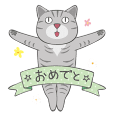 American Shorthair & Red-tabby White Cat sticker #6909338