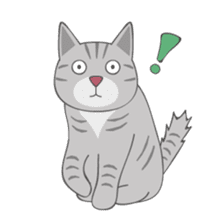 American Shorthair & Red-tabby White Cat sticker #6909343