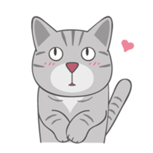 American Shorthair & Red-tabby White Cat sticker #6909344