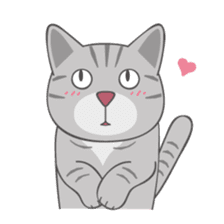 American Shorthair & Red-tabby White Cat sticker #6909344