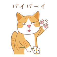 American Shorthair & Red-tabby White Cat sticker #6909350