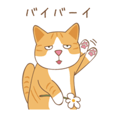 American Shorthair & Red-tabby White Cat sticker #6909350