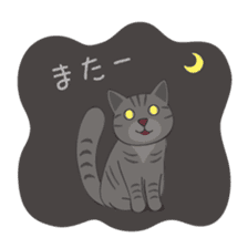 American Shorthair & Red-tabby White Cat sticker #6909351