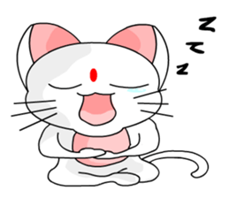 A cute and white cat-white sticker #6913395