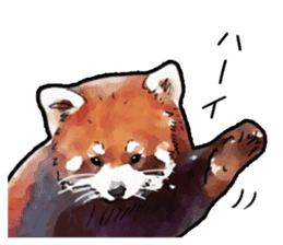 Watercolor red panda sticker sticker #6913712