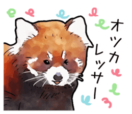 Watercolor red panda sticker sticker #6913714