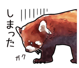 Watercolor red panda sticker sticker #6913720