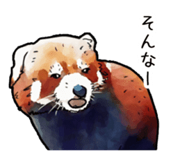 Watercolor red panda sticker sticker #6913721