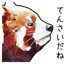 Watercolor red panda sticker sticker #6913729