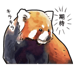 Watercolor red panda sticker sticker #6913732