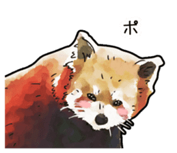 Watercolor red panda sticker sticker #6913735