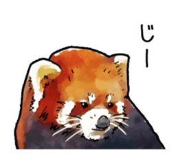 Watercolor red panda sticker sticker #6913736