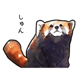 Watercolor red panda sticker sticker #6913738