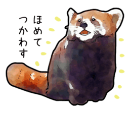 Watercolor red panda sticker sticker #6913739