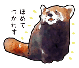 Watercolor red panda sticker sticker #6913739