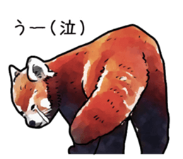 Watercolor red panda sticker sticker #6913742