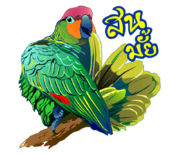 NOK KAEW NOK KHUNTHONG sticker #6916232