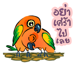 NOK KAEW NOK KHUNTHONG sticker #6916252