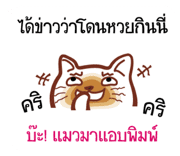 Sorry! My cat has typed them sticker #6917302