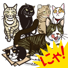 The cats which cry prettily