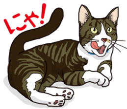 The cats which cry prettily sticker #6919152