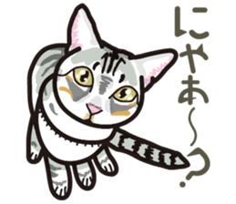 The cats which cry prettily sticker #6919154