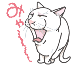 The cats which cry prettily sticker #6919156