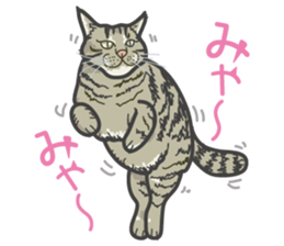 The cats which cry prettily sticker #6919159