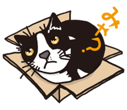 The cats which cry prettily sticker #6919161