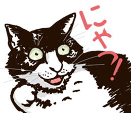 The cats which cry prettily sticker #6919162