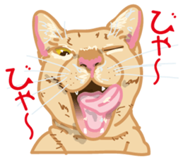 The cats which cry prettily sticker #6919163