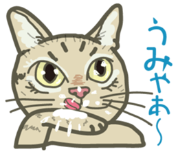 The cats which cry prettily sticker #6919168