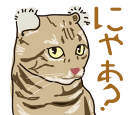 The cats which cry prettily sticker #6919171