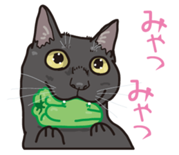 The cats which cry prettily sticker #6919172