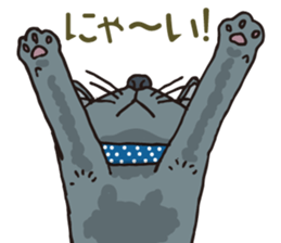 The cats which cry prettily sticker #6919173