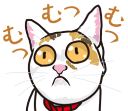 The cats which cry prettily sticker #6919177