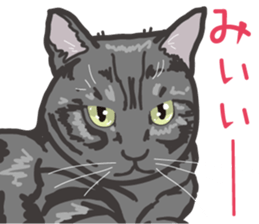 The cats which cry prettily sticker #6919178