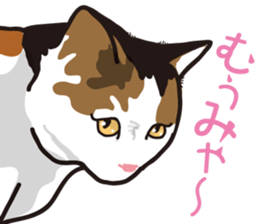 The cats which cry prettily sticker #6919179