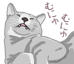 The cats which cry prettily sticker #6919182