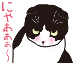 The cats which cry prettily sticker #6919184