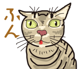 The cats which cry prettily sticker #6919185