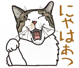 The cats which cry prettily sticker #6919189