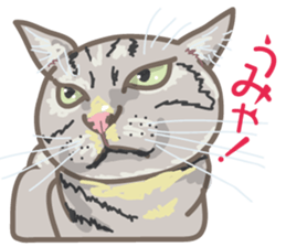 The cats which cry prettily sticker #6919190