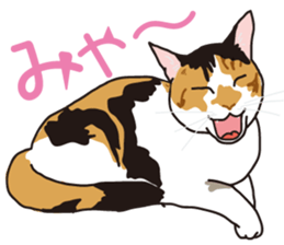 The cats which cry prettily sticker #6919191