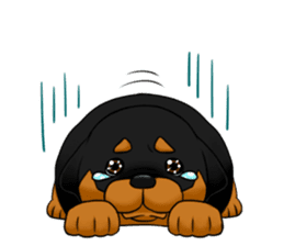 The Rottweilers. sticker #6919663