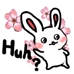 Naughty rabbit(English version)